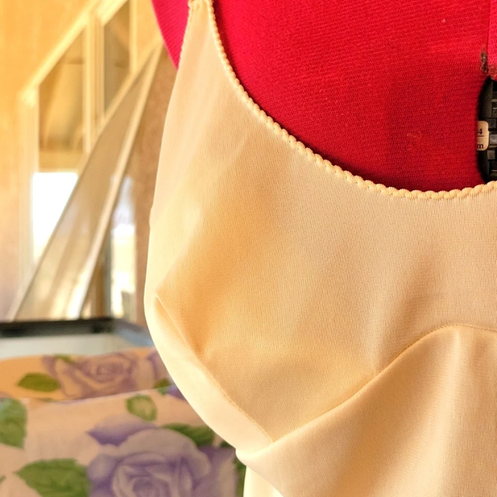 Vintage SEARS The Doesn't Slip Sexy Lingerie sz 34 with Pointy Boobs - Picture 11 of 12